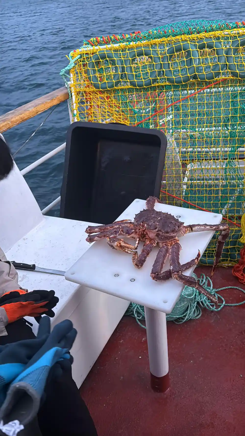 A crab on a white cutting board on deck beside the pots